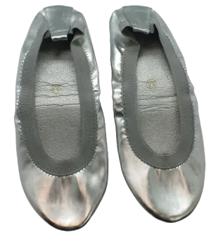 Silver Shoes