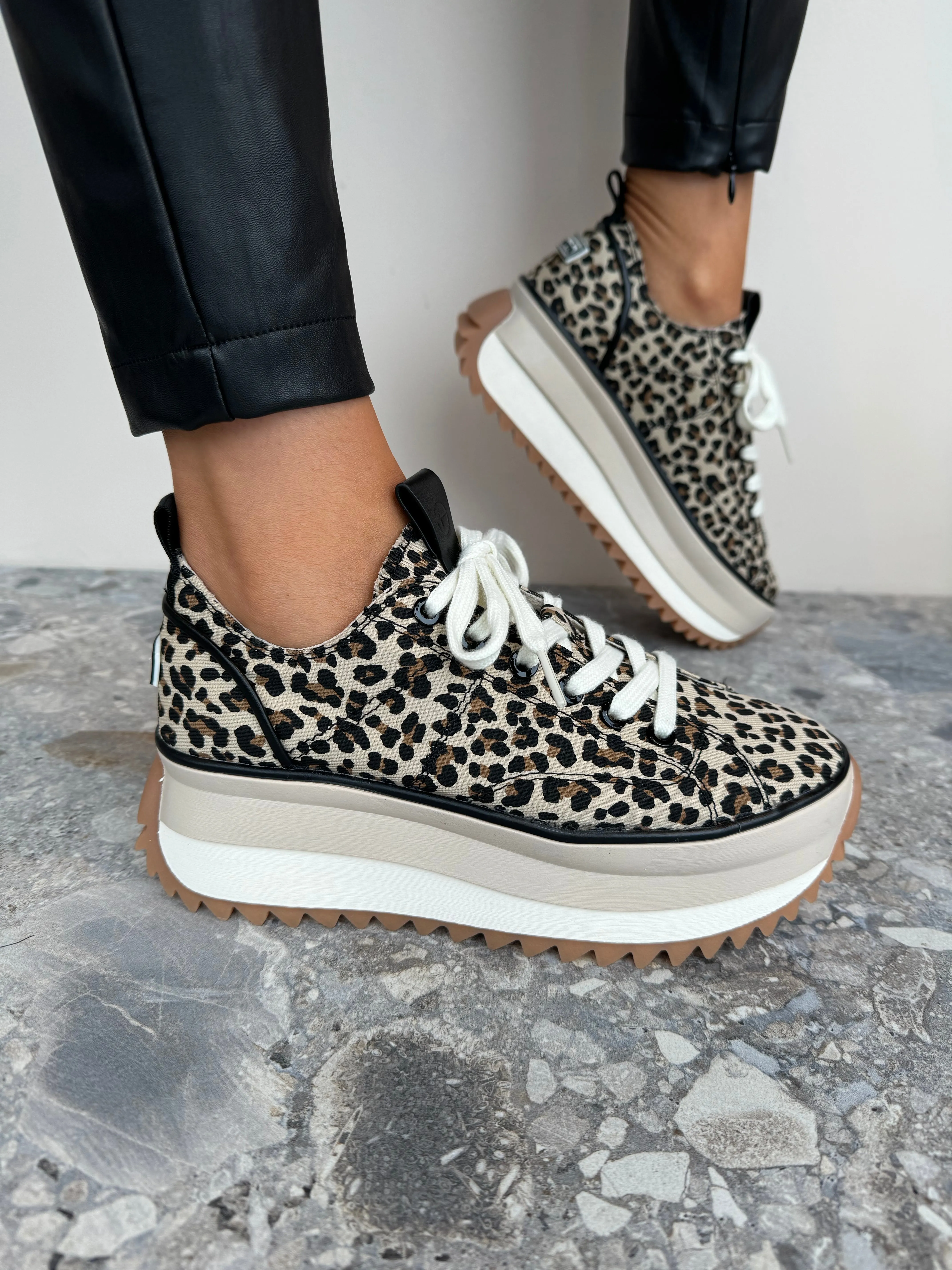 Tamaris (SS25) 1-23731 Leopard Print Platform Trainer- Leopard (T11)