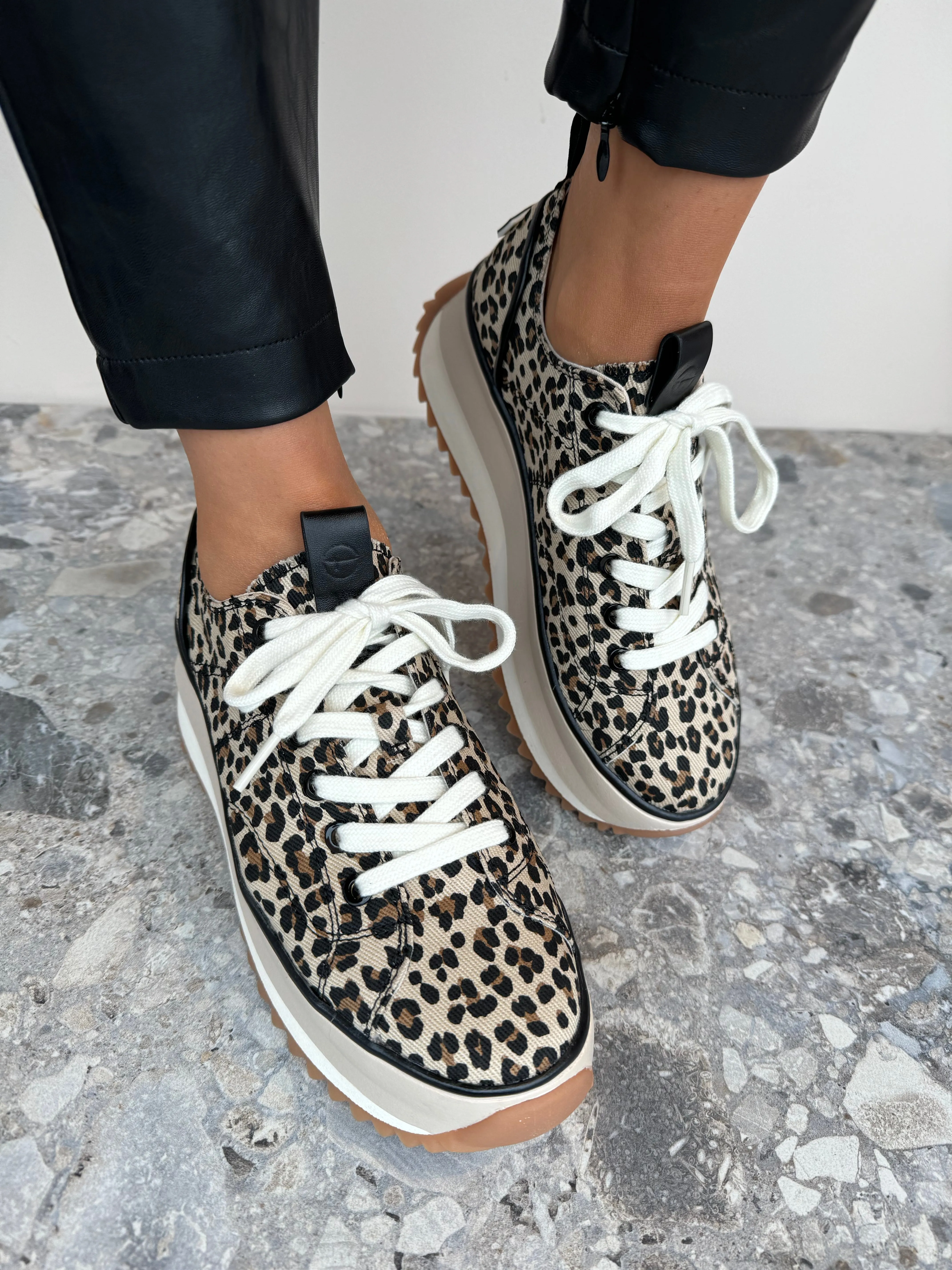 Tamaris (SS25) 1-23731 Leopard Print Platform Trainer- Leopard (T11)