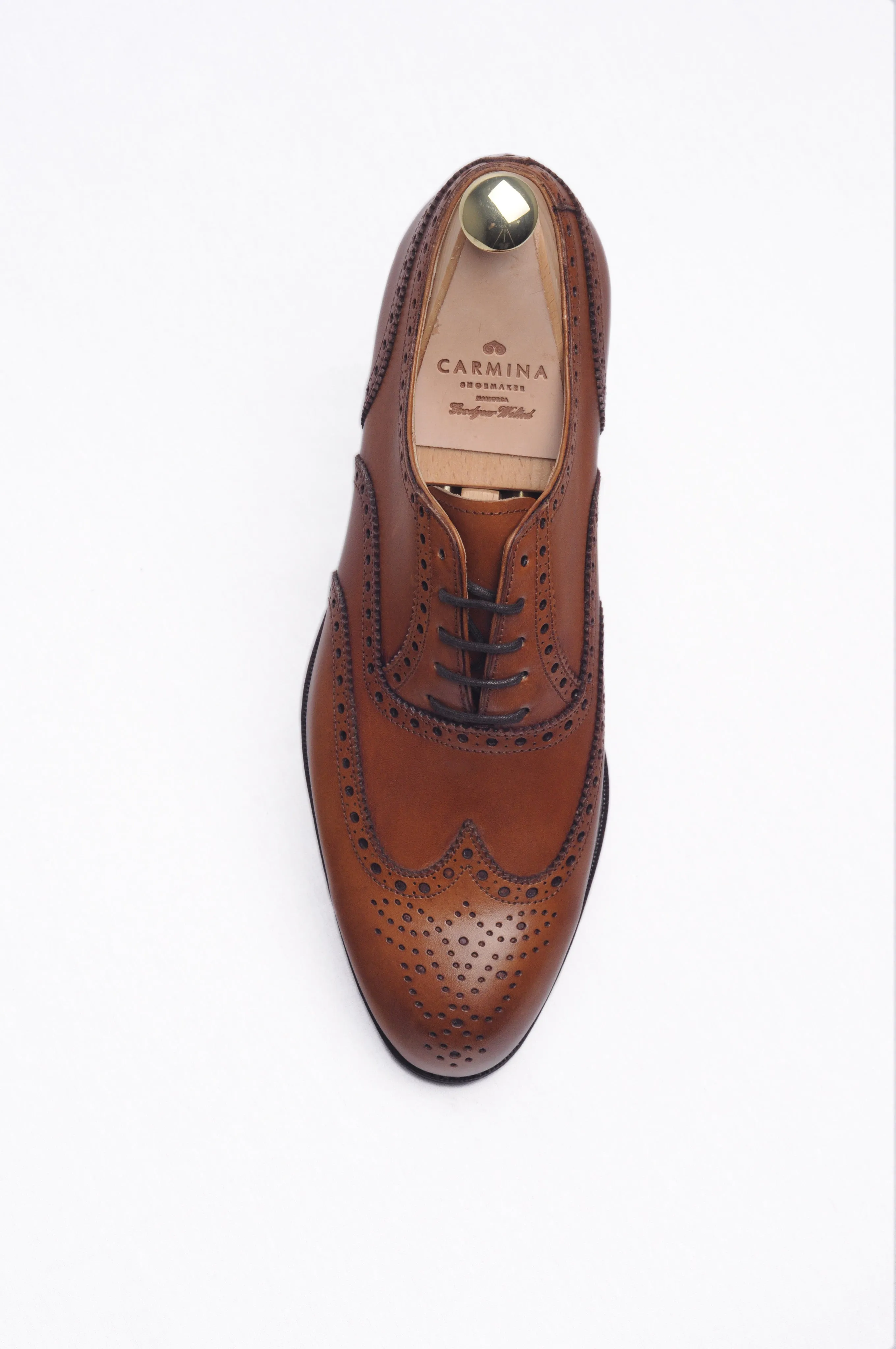 Wingtip Oxfords 813 Forest